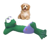 Squeaky Beach Frog Toy