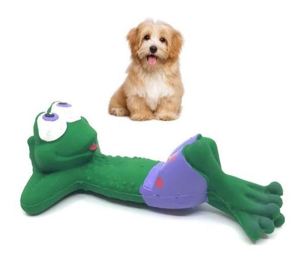 Squeaky Beach Frog Toy