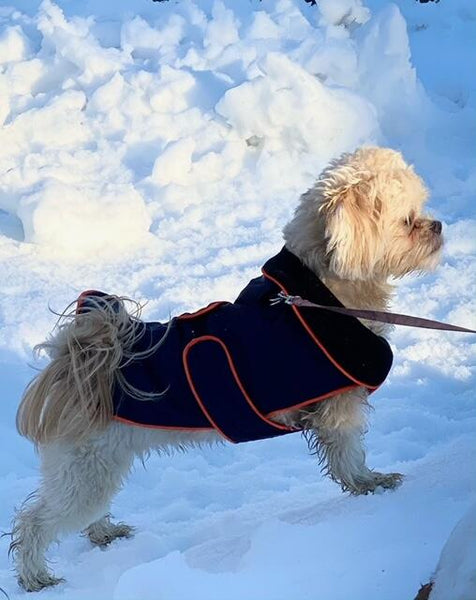 Zoomies All-Weather Coat - Navy