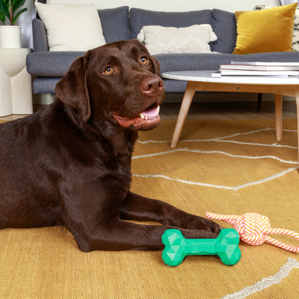 ROPE KNOT PULL TOY