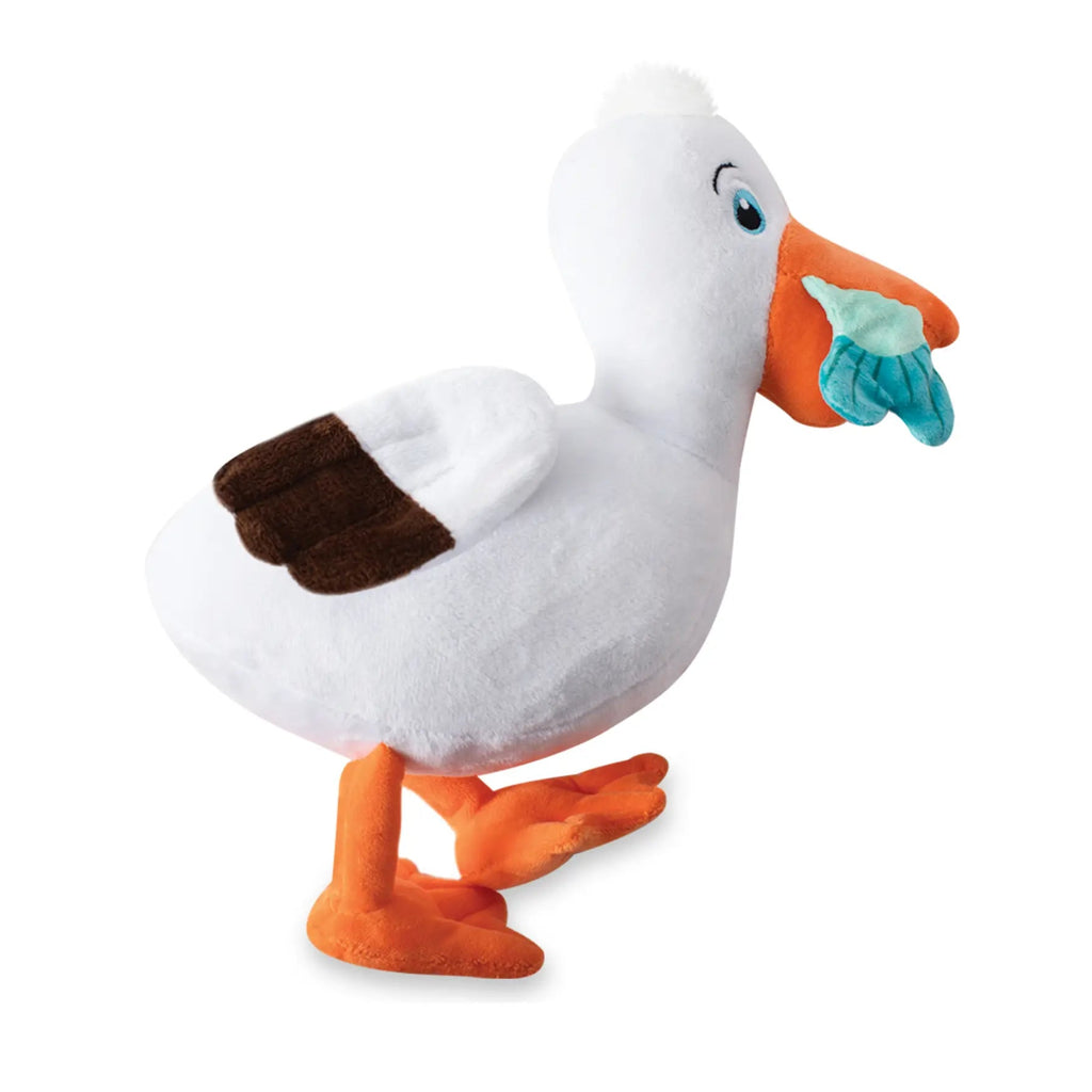 Seagull Lunch Break zoomies - Main Image