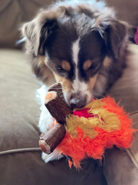 Cozy Corbin Campfire Toy