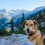 Himalayan Yak Chew