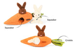 Bunnies in a Carrot