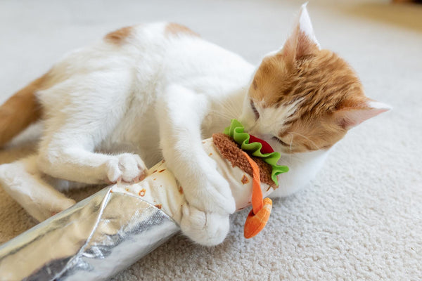 Shrimp Burrito Catnip Toy