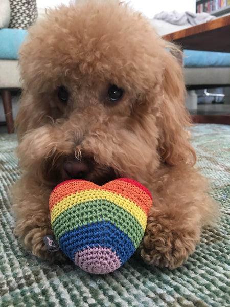 Crochet Rainbow Heart