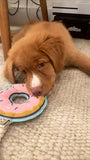 Donut Rope Toy