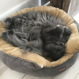 Zoomies Cuddle Bed - Charcoal