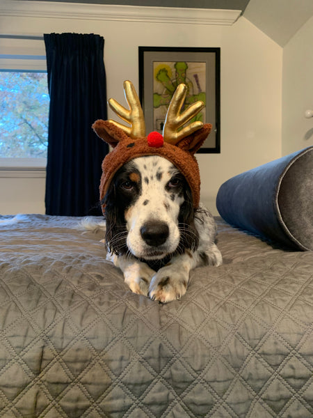 Rudolph the Reindeer Hat