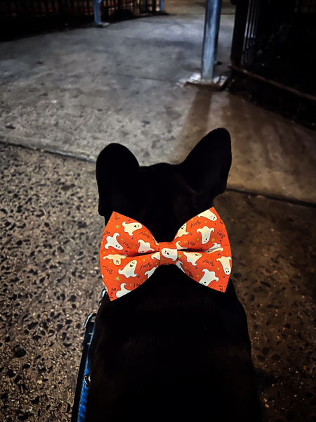 Glow in the Dark Bow Tie