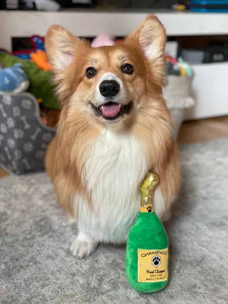 Woof Clicquot Classic Champagne Toy