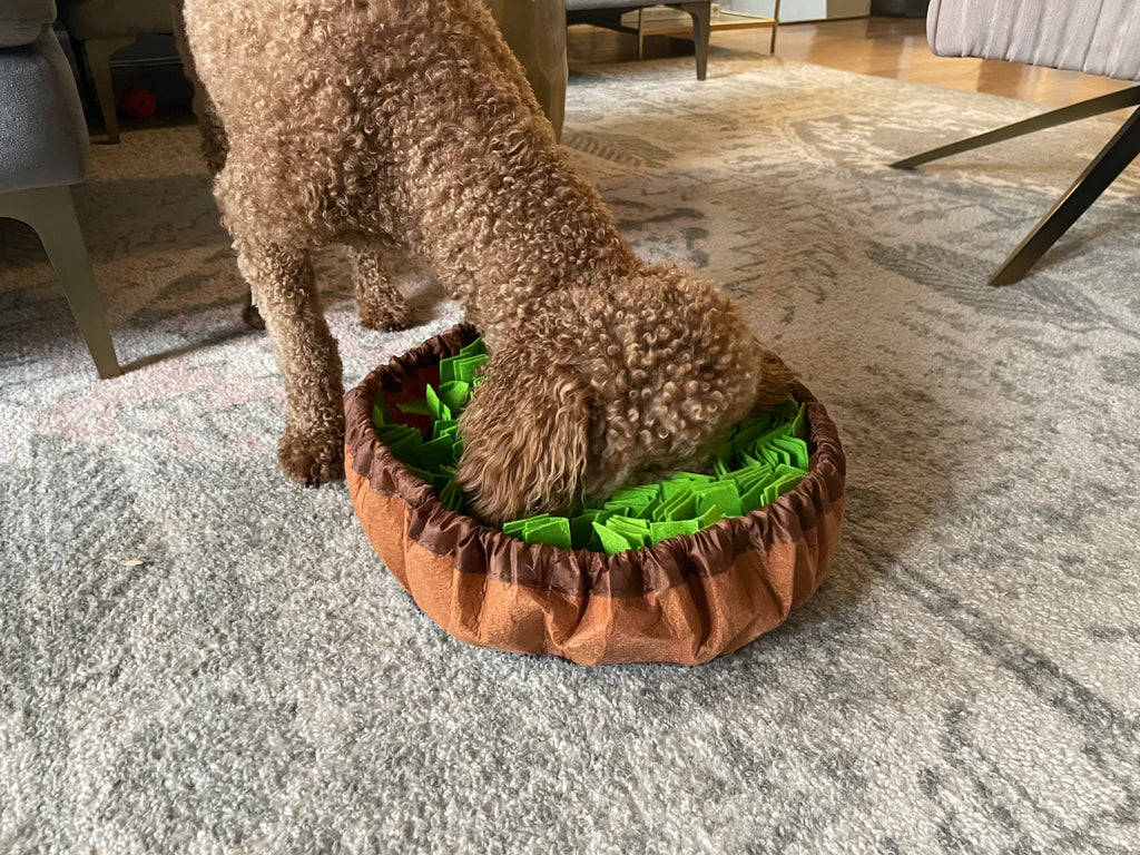 Snuffle bowl hot sale
