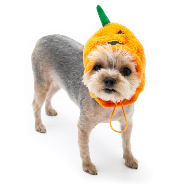 Orange Pumpkin Hat